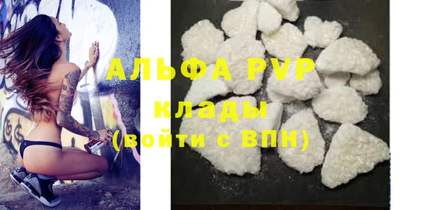 амф Кущёвская