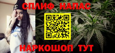 спиды Новокубанск