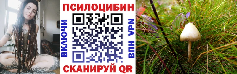 Галлюциногенные грибы MAGIC MUSHROOMS закладки Химки