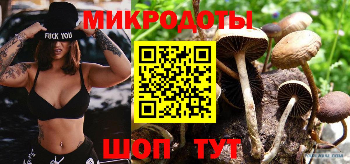 Химки  наркота  Вход с VPN  Псилоцибиновые грибы Psilocybine cubensis 